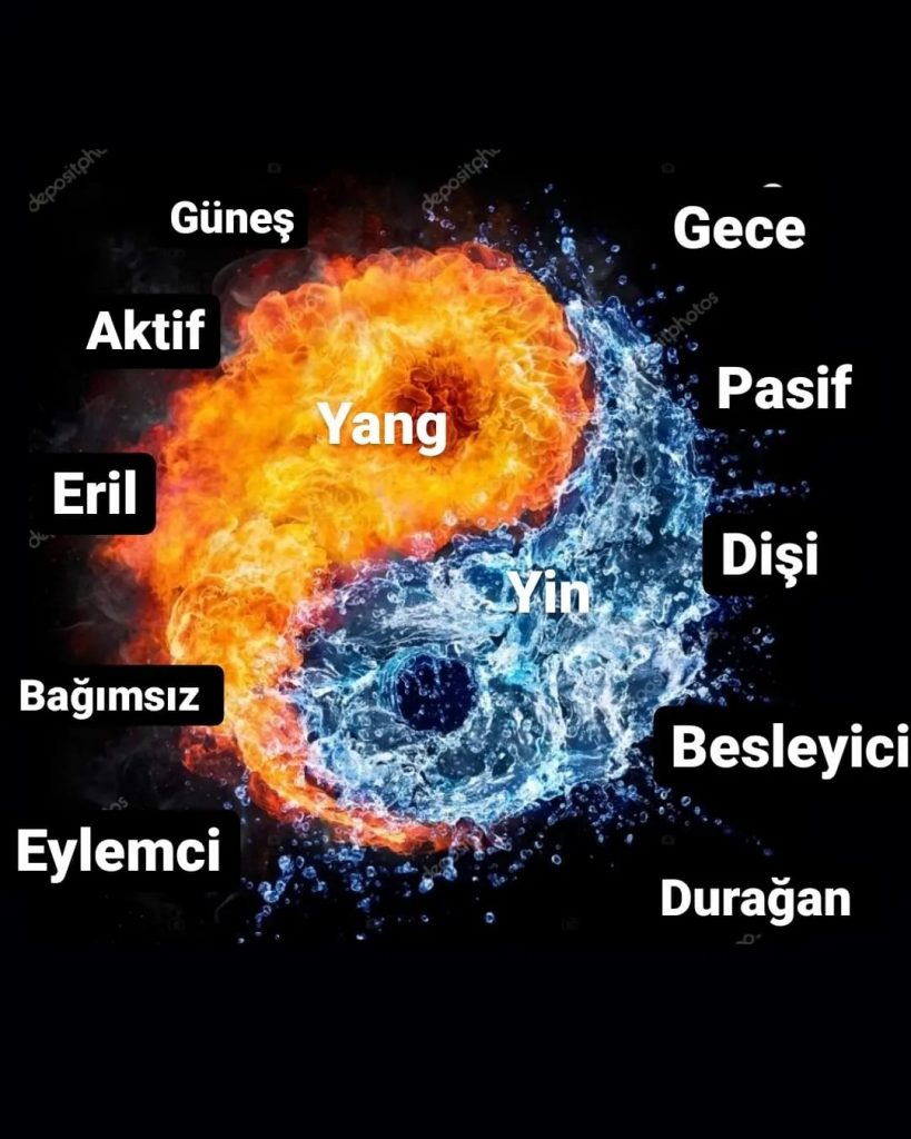 Aile Dizimi Ankara - Astroloji